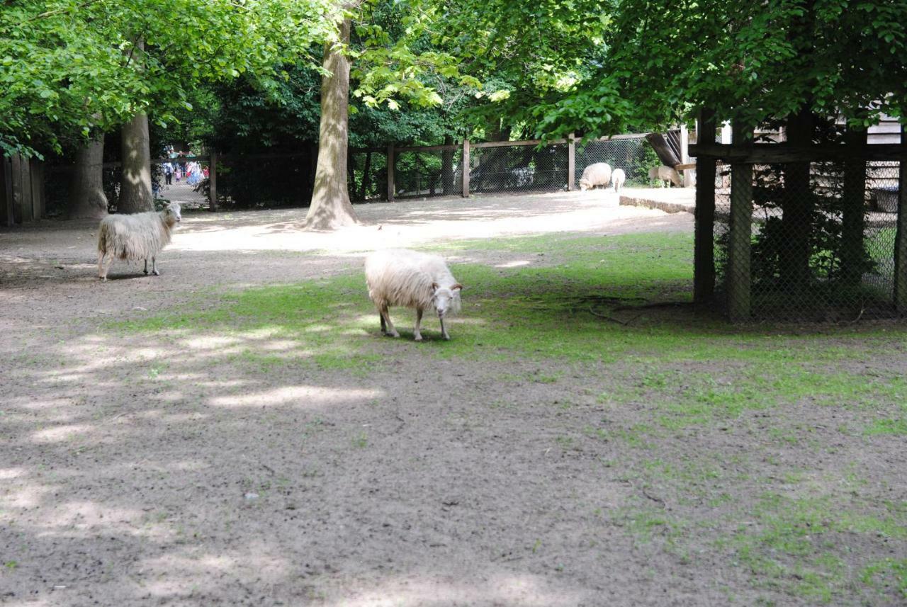 Helle Nichtraucherwohnung 69Qm Zwischen Koeln Und Duesseldorf ドルマーゲン エクステリア 写真
